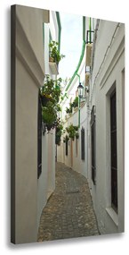 Vászonfotó Utcák andalúzia ocv-87167846