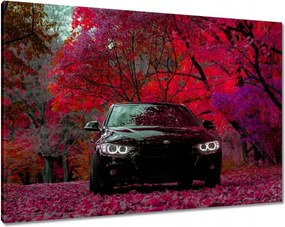 Vászonkép 100x70 Fekete Bmw Ősz