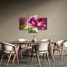 Rózsaszín tulipánok képe (90x60 cm)