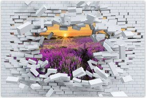 Poszterek 60x40 Levendula naplemente