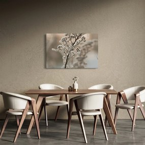 Kép - Növény fagyban (90x60 cm)