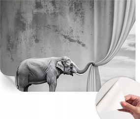 Öntapadós tapéta Fali furnér 3D hatás Szürreális elefánt 104x70