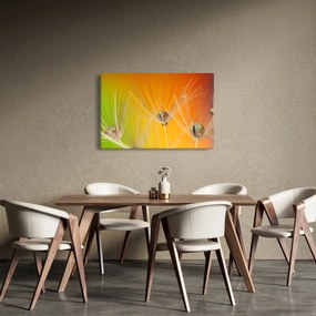 Cseppek a növényen képe (90x60 cm)