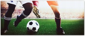 Fotótapéták 250x104 Labdarúgók Labdarúgás Foci Ág Dugók