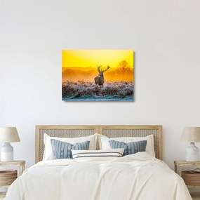 Üveg kép - Szarvas napfelkeltekor (70x50 cm)