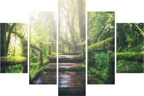 Kép - falépcsők az erdőben (150x105 cm)