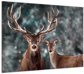 Kép - szarvas és őzike egy havas erdőben (70x50 cm)