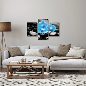 Kép - Kék orchidea (90x60 cm)