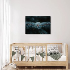 Egy tűlevelű fa gallyának képe (üvegen) (70x50 cm)