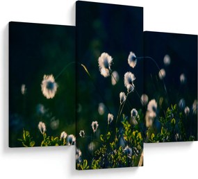 Kép - Fű (90x60 cm)