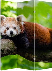 Paraván - Vörös panda (126x170 cm)