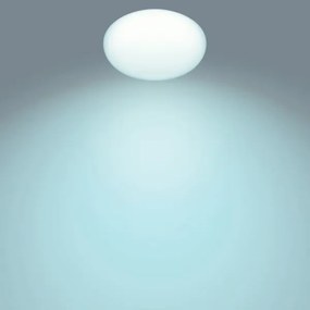 Philips - TOBA 1xLED/23W/230V dimmelhető mennyezeti lámpa távirányítóval