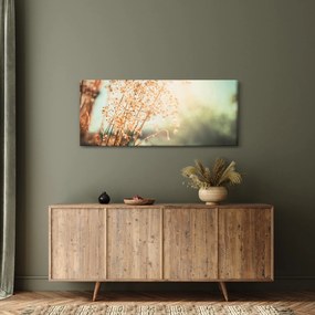 Kép - Növények eső után (120x50 cm)