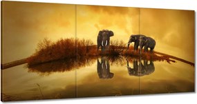 Vászonkép 180x90 Elefántok a vízparton