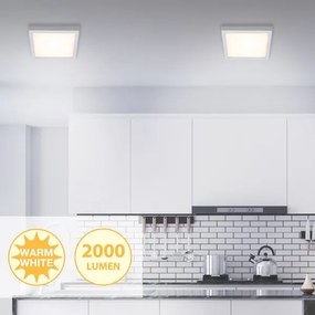 Briloner 7142-014 - LED Mennyezeti lámpa FIRE LED/21W/230V 3000K