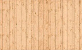 Flizelin fotótapéta Fa deszkák Loft Minimalizmus öko 250x175 +ragasztó