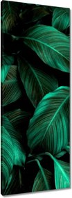 Vászonkép 40x100 Gyönyörű türkiz levelek