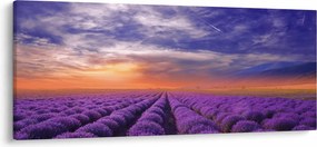 Egy levendula mező képe (120x50 cm)