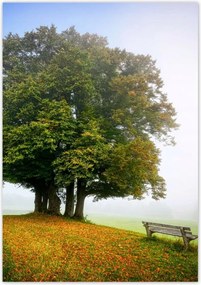Poszterek 70x100 Tájkép paddal Fa