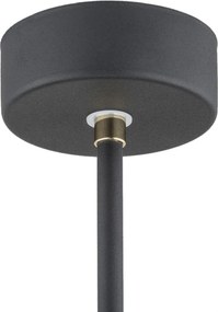 Argon CHARLOTTE 4686 Függőlámpa 1x15W/E27 IP20