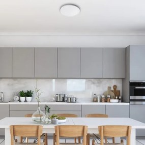 Rabalux 3427 - LED mennyezeti lámpa PAVEL LED/18W/230V