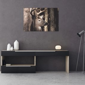 Kép - Szarvas az erdőben (90x60 cm)
