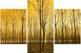 Kép - Faültetvény (90x60 cm)