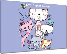 Vászonkép 70x50 Cica Cicák Macskák
