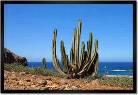 Poszterek keretben 60x40 Kaktusz a természetben Kilátás
