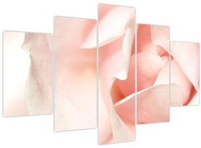 Kép - Rózsák (150x105 cm)