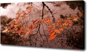 Vászonkép Levelek a vízen 120x60 cm