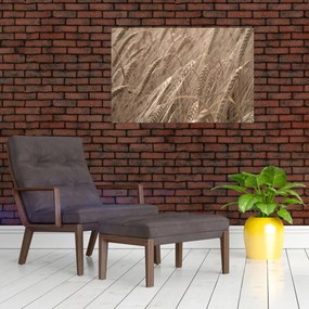 Kép - Az arany mező (90x60 cm)