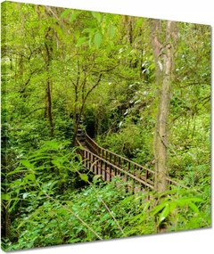 Vászonkép 40x40 Tájkép park