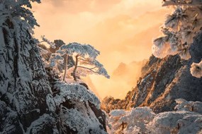 Fotográfia Beautiful scene of Huangshan  in, Jackyenjoyphotography