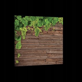 Vászonkép 80x60 Szőlő nyár levelek fa deszka vidéki természet nyár
