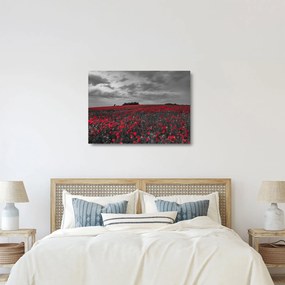 Pipacsos kép (üvegen) (70x50 cm)