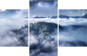Egy erdő képe a ködben (90x60 cm)
