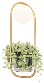 Art Deco fali lámpa arany fehér üveggel - Isabella