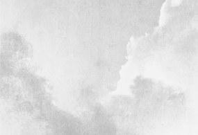 Flizelin tapéta Divatos 3D fali ragasztó Finom felhők 152x104 Ragasztó