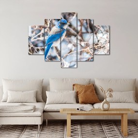 Kép - Téli madár (150x105 cm)