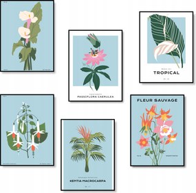 Poszter Készlet A3 Képek A Nappaliba Poszterek 6 db Poszter A3 *Sok minta*