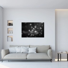 Kép - Pamutfű a réten (90x60 cm)