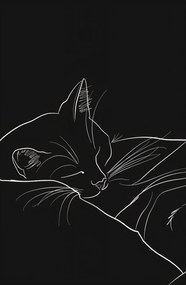 Poszter 53x81cm Éjszakai nyugalom