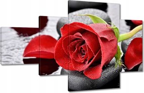 Vászonkép 130x80 Vörös rózsák Kövek