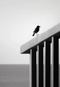 Poszter 68x98cm Magányos elmúlás