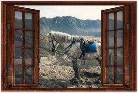 Poszterek 120x80 Ló expedíció a hegyekbe