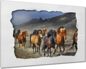 Vászonkép 60x40 Vadlócsorda