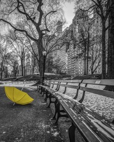 Poszter 40x50cm Sárga esernyő az ösvényen a Central Park 2-ben, Assaf Frank