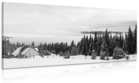 Kép faház fekete-fehér hóval borított fenyők mellett fekete fehérben
