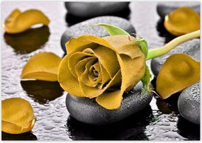 Poszterek 100x70 Sárga rózsa köveken